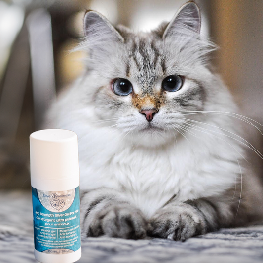 Extra Strength Silver Gel for Pets.