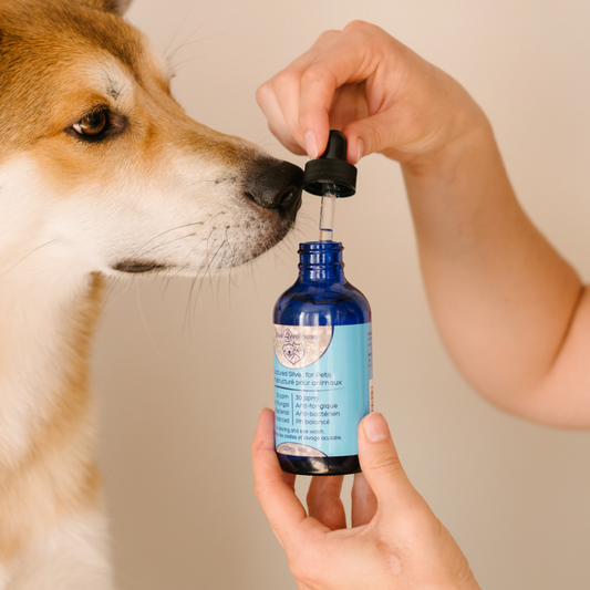 Structured Silver for Pets with Glass Dropper.