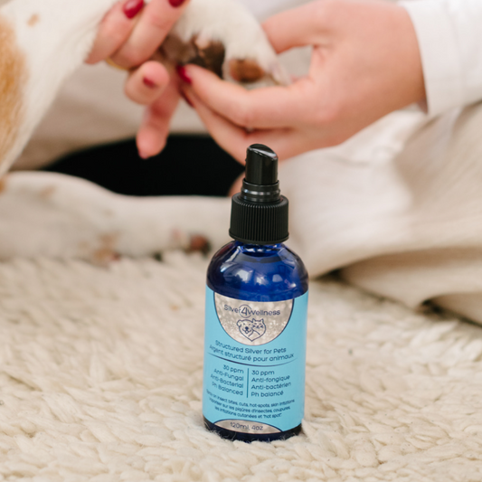 Structured Silver for Pets Spray