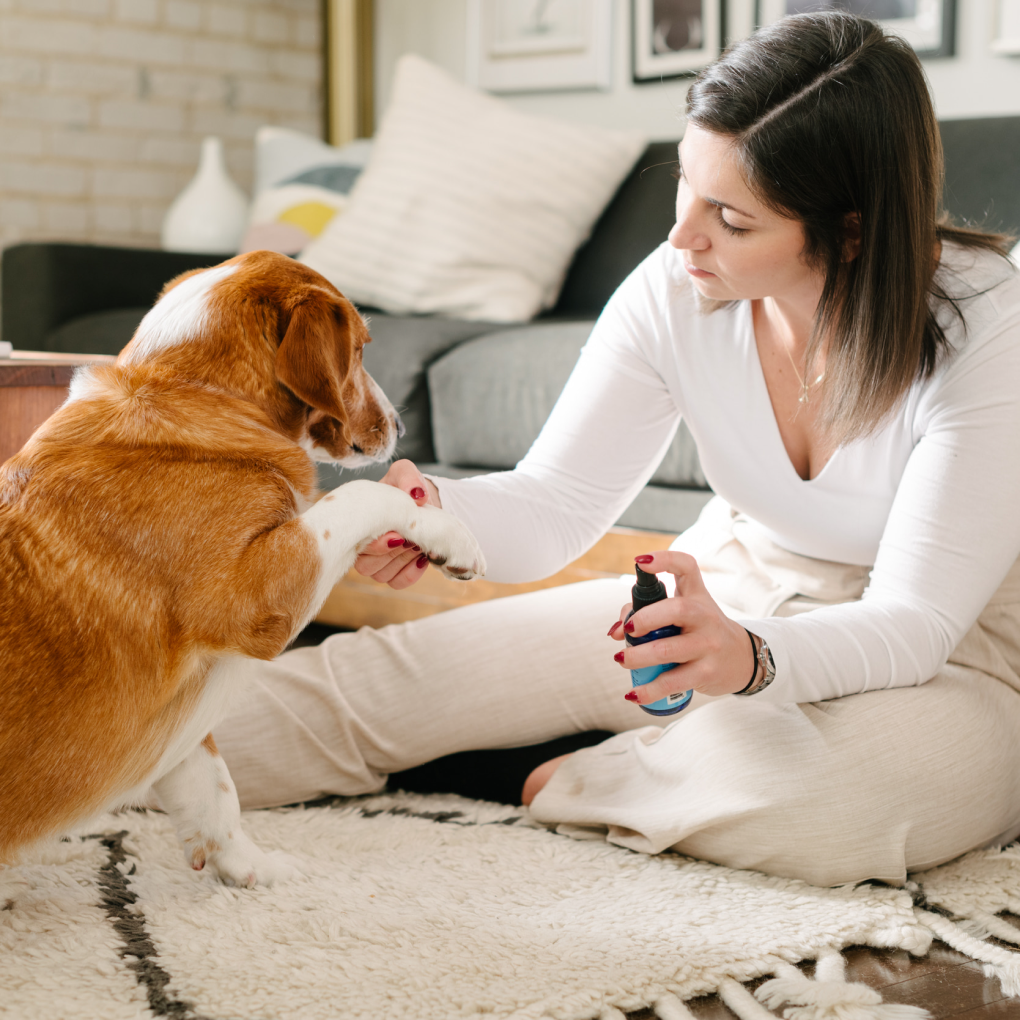 A caring owner treats her dog's paw with the Silver4Wellness structured silver spray, demonstrating the product's versatility and gentle application for pets.