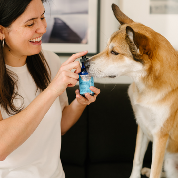 A smiling woman holds up a Silver4Wellness dropper bottle, as a curious dog leans in to sniff it, showcasing an intimate and friendly moment.